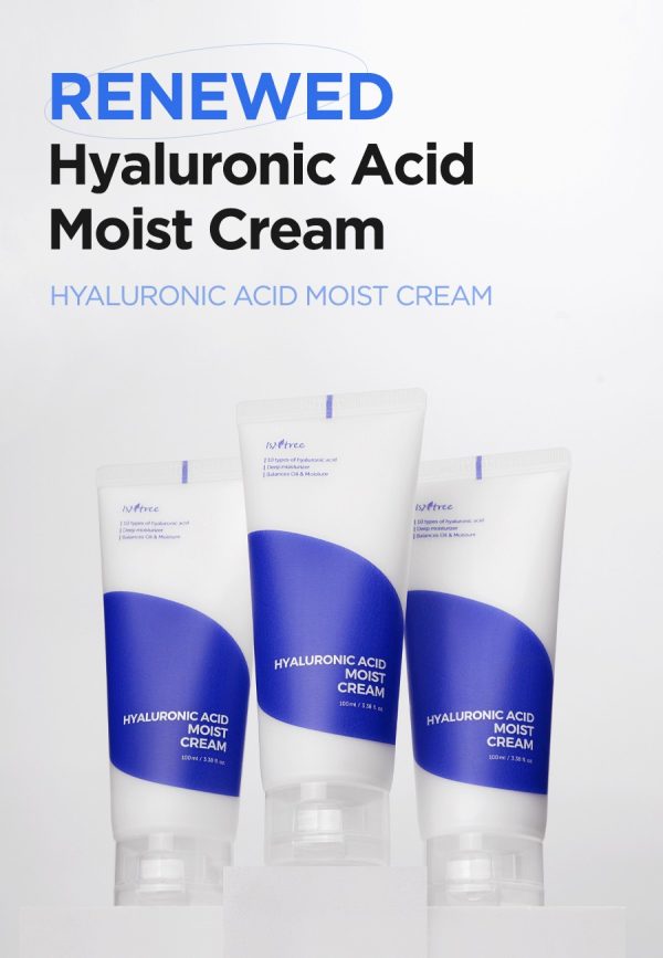 ISNTREE HYALURONIC ACID MOIST CREAM 100ML - Image 2